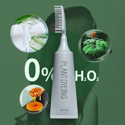 📢📢Buy 1 Get 1 Free – Last Day! ⏰Plant-Based Comb Hair Dye